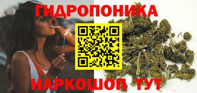 PSILOCYBIN Кулебаки