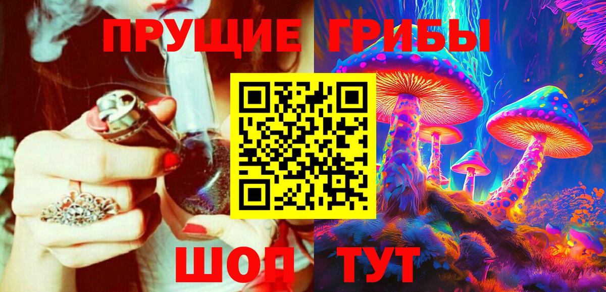 Псилоцибиновые грибы Cubensis Джанкой